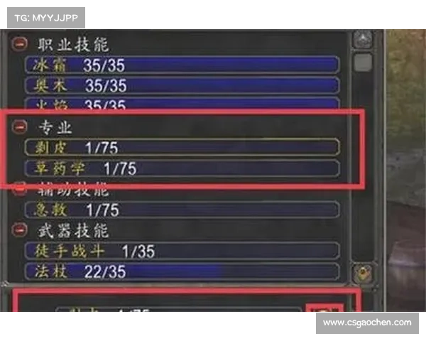 魔兽世界单机版：技能升级之道